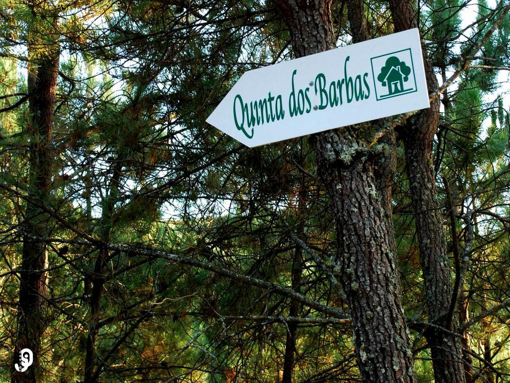 Quinta Dos Barbas Guest House Oliveira do Hospital Exterior photo